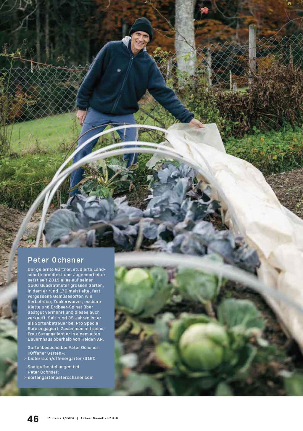 Image Title My Image